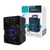 GTS 1637  Greatnice Wireless Speaker Fantastic Quality